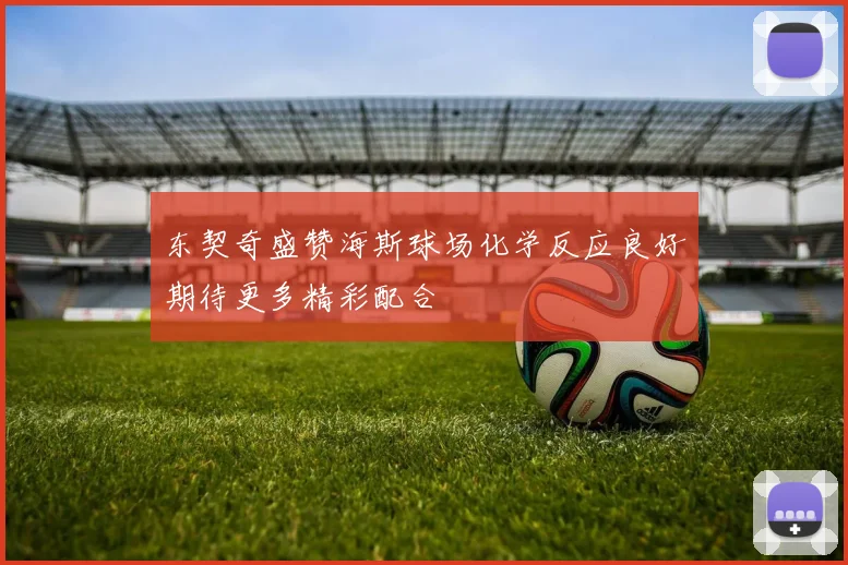 东契奇盛赞海斯球场化学反应良好期待更多精彩配合