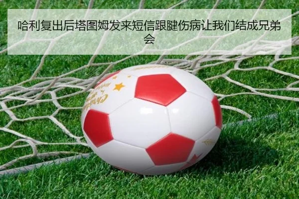哈利复出后塔图姆发来短信跟腱伤病让我们结成兄弟会（xingkong）
